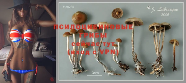 гидра Бугульма